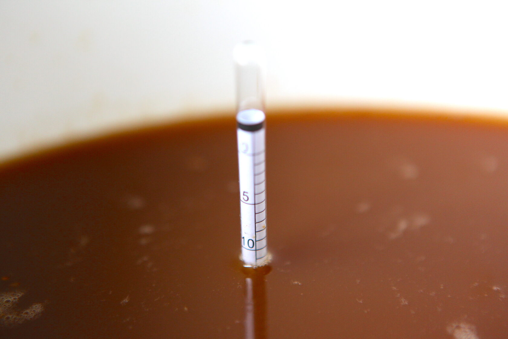 Mini yubka va paypoq kiygan qoramagizlar mushuklarini korsatishadi