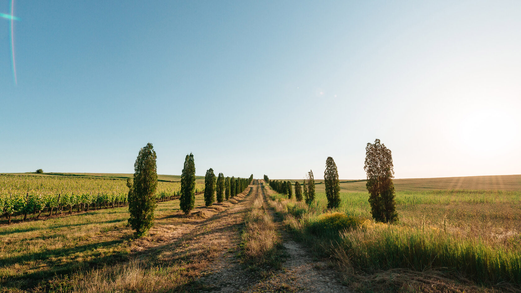 лефкадия винодельня ресторан меню. Смотреть фото лефкадия винодельня ресторан меню. Смотреть картинку лефкадия винодельня ресторан меню. Картинка про лефкадия винодельня ресторан меню. Фото лефкадия винодельня ресторан меню лефкадия винодельня ресторан меню. Смотреть фото лефкадия винодельня ресторан меню. Смотреть картинку лефкадия винодельня ресторан меню. Картинка про лефкадия винодельня ресторан меню. Фото лефкадия винодельня ресторан меню