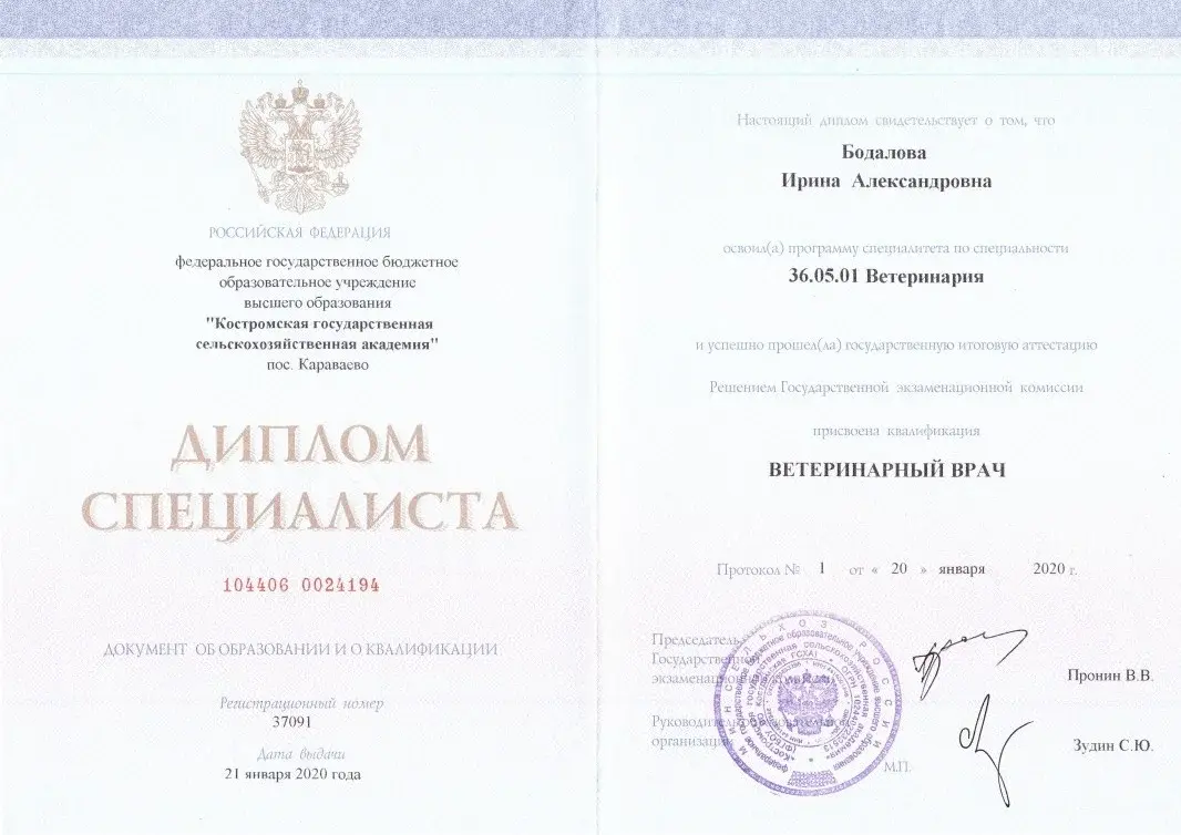 Диплом Бодалова И.А.
