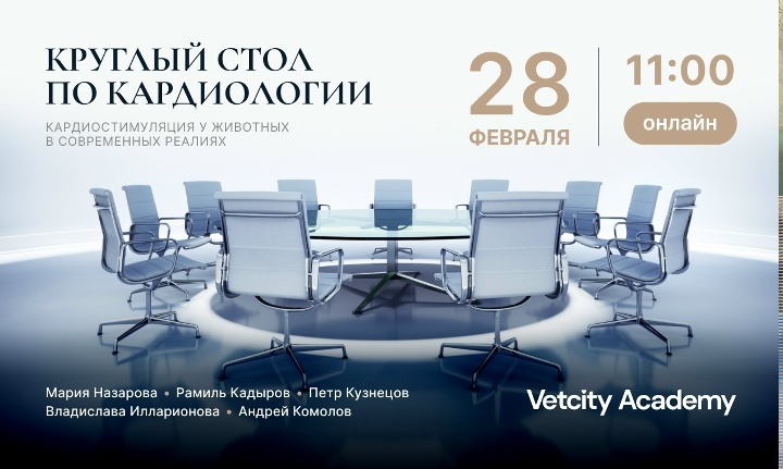 Кардиостимуляция у животных в современных реалиях. Часть 1