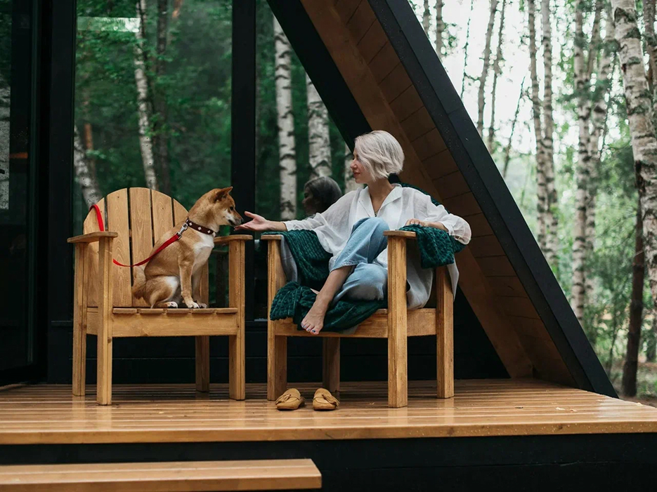 Глэмпинг дог френдли в Подмосковье