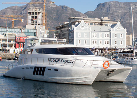 Tigger Catamaran №7 — фото 2
