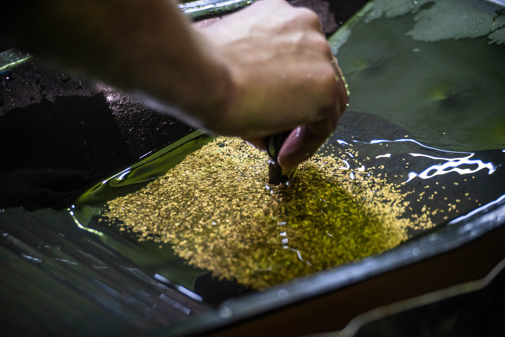 добыча золота вручную, промывка золотого песка в лотке, процесс извлечения золота из породы