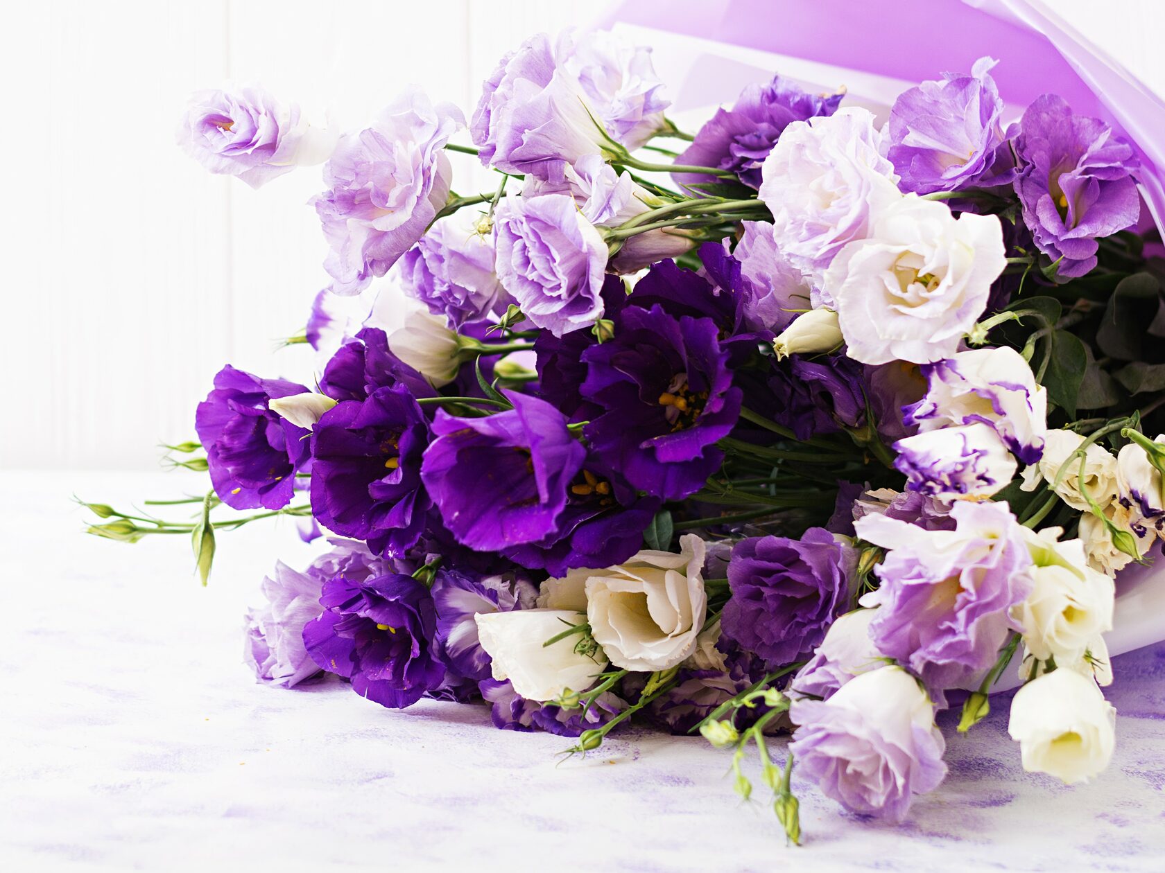 фото нанесения макияжа на лицо девушки 