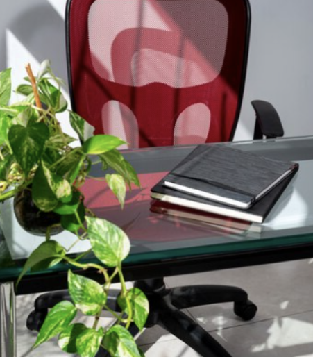 озеленение офиса