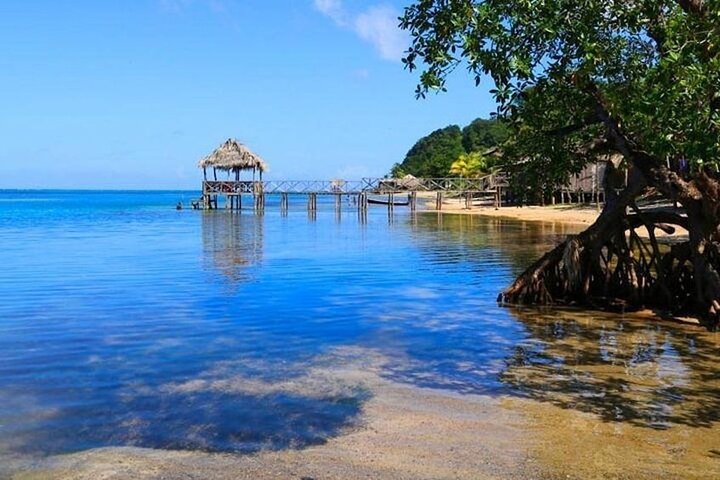 Unique Adults Only BUGGY Tour: Roatan East End & Paya NUDE Beach