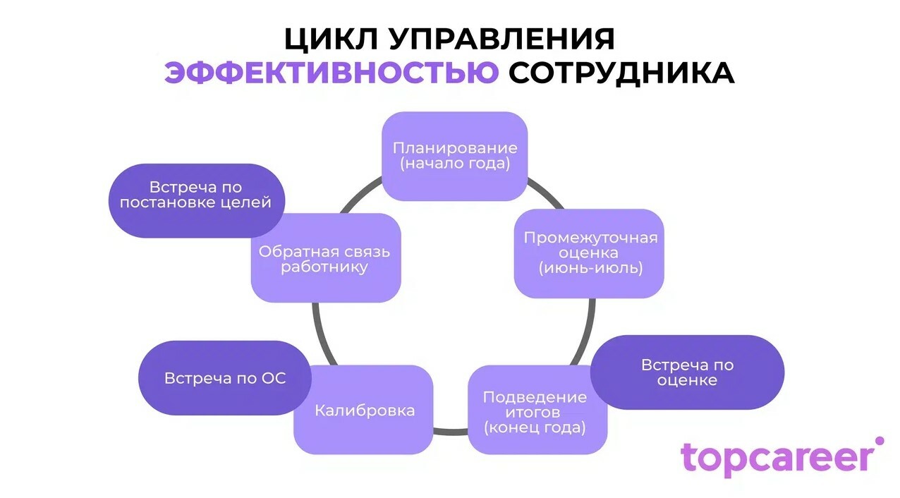 Проверить, мотивировать, удержать: цикл управления эффективностью сотрудника