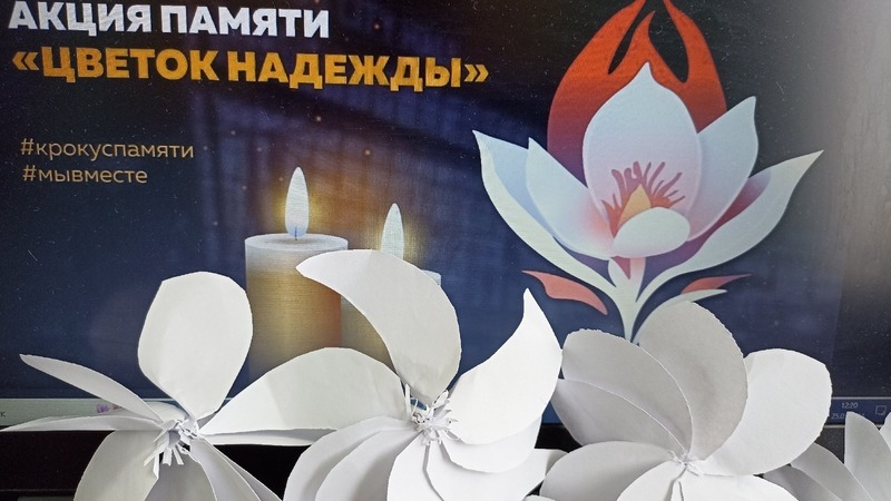 Санбук смит цветы оригами. Оригами цветок. Акция цветок надежды оригами. Цветок мак оригами. Оригами цветок четыре лепестка.