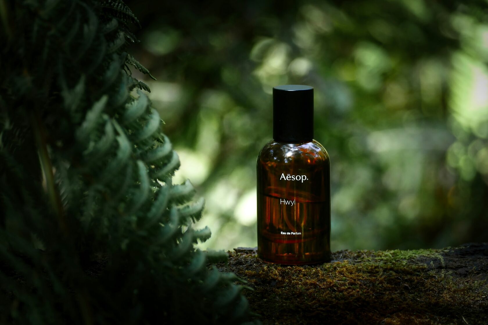 Skincare product showcase — Aēsop case study