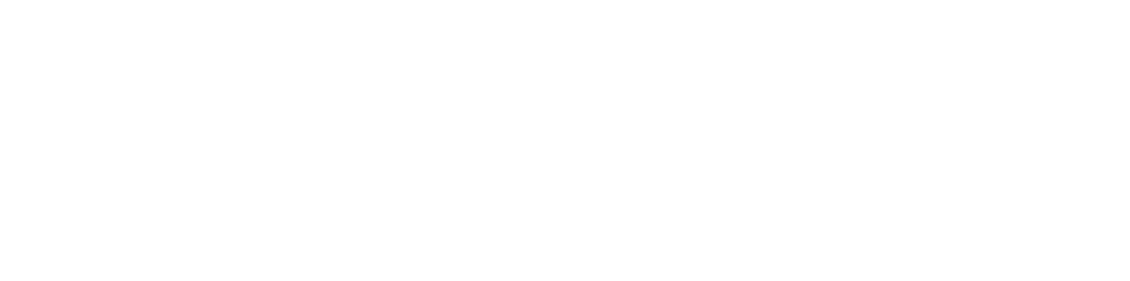Логотип Нанософт Разработка
