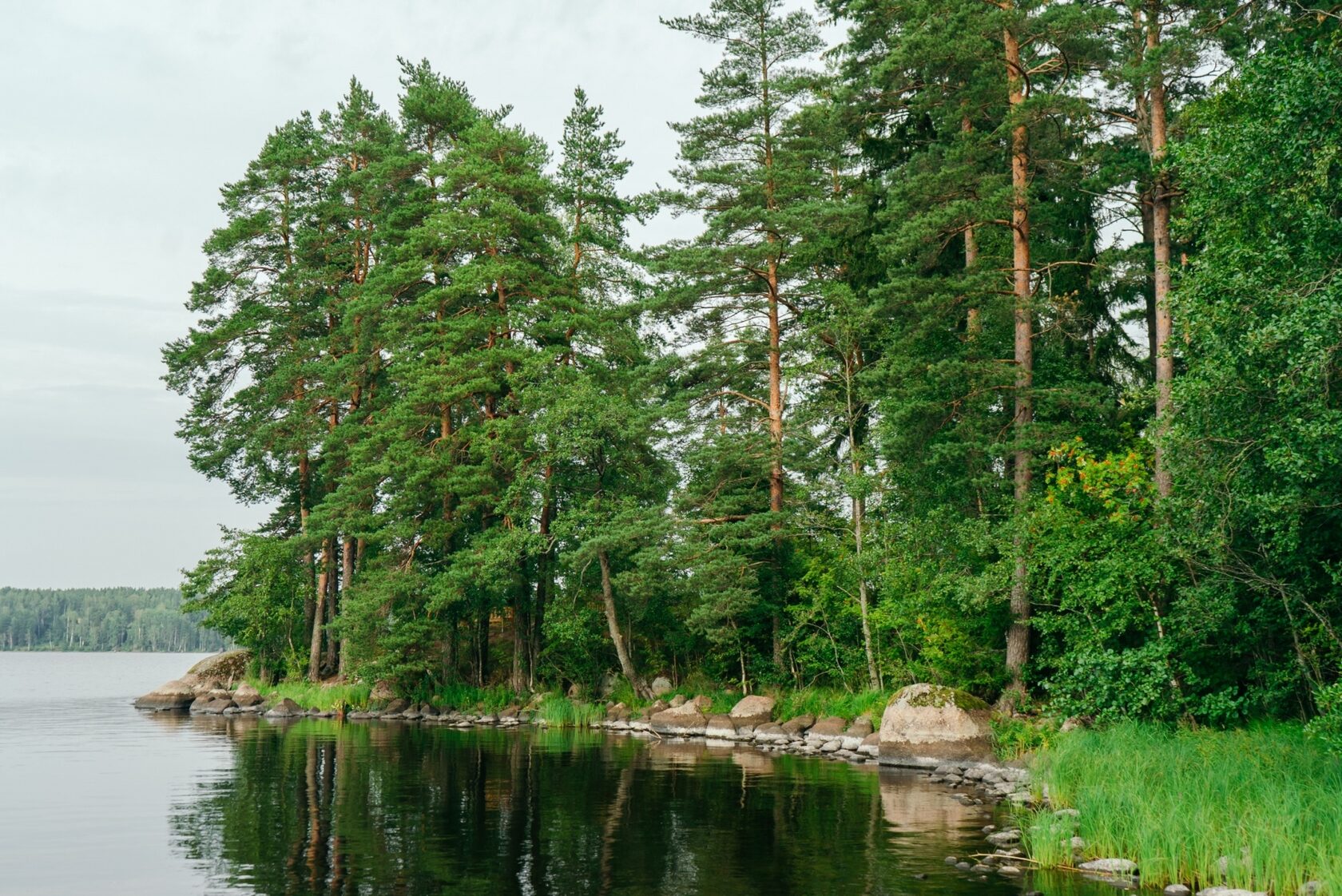 Купить Дом В Поселке Сосновый Бор