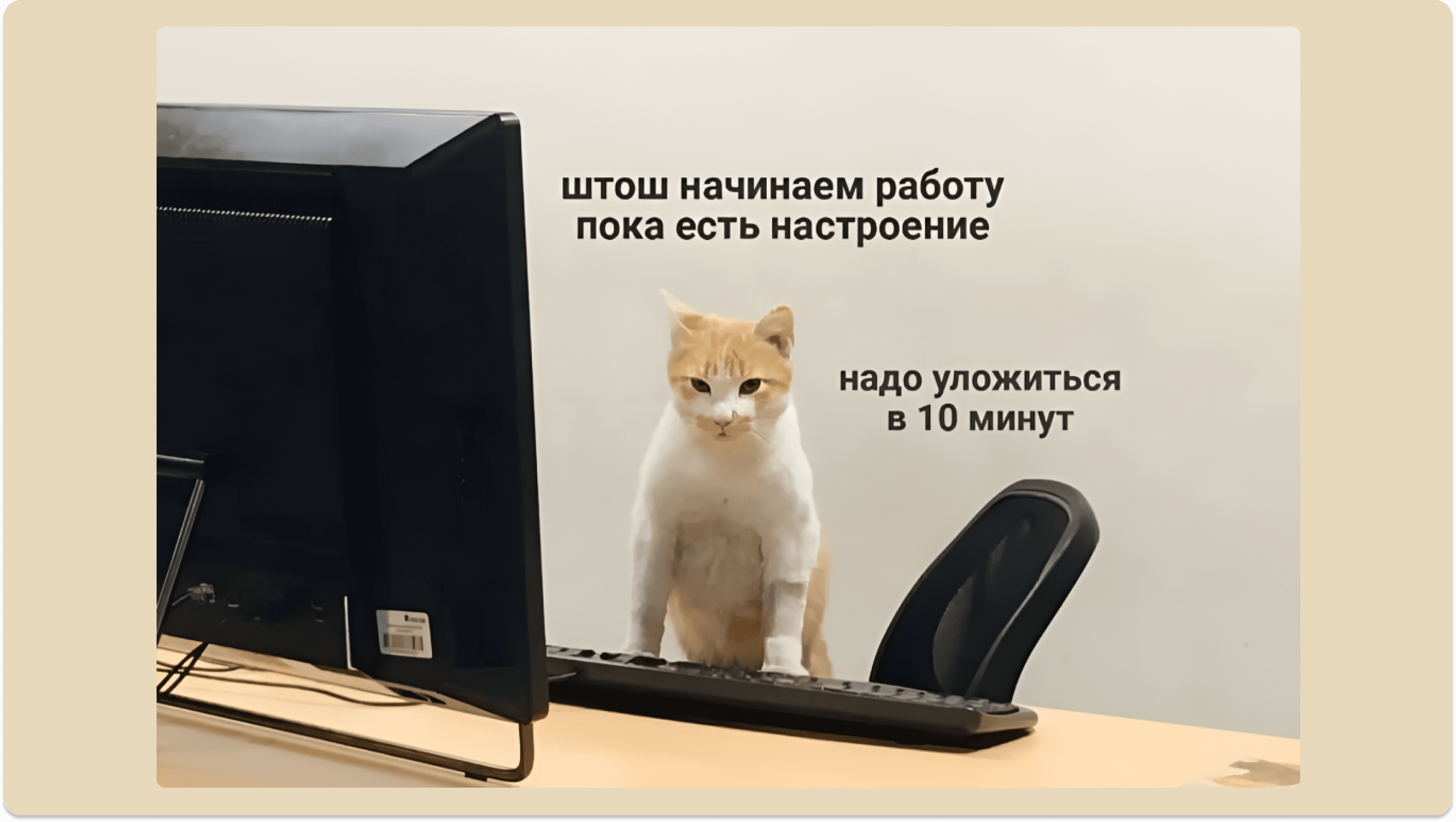 Мем штош начинаем работу пока есть настроение