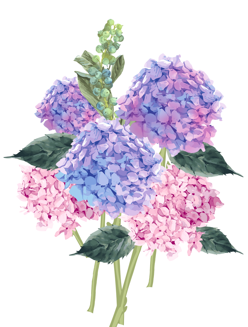 красные клены