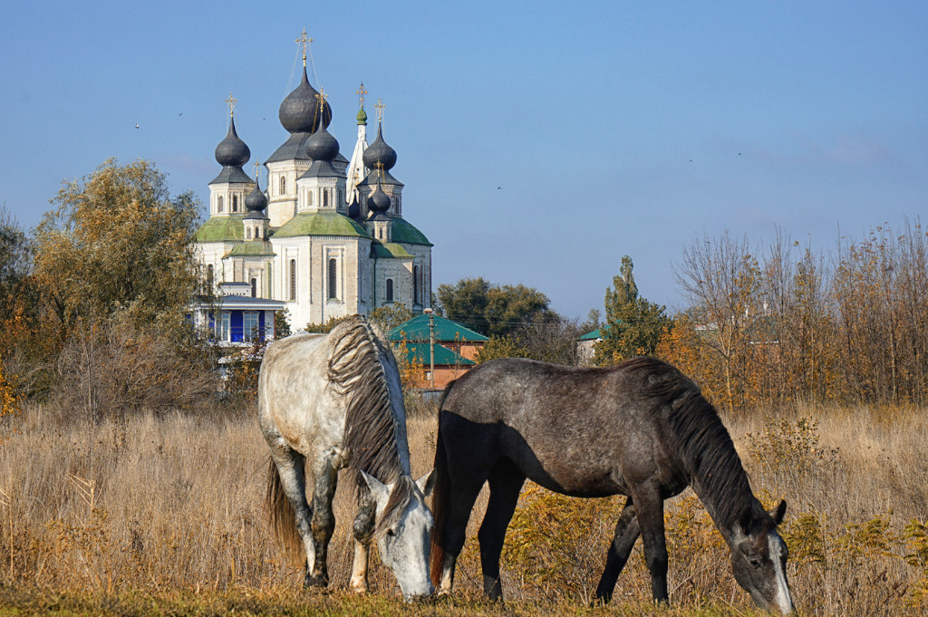 Воскресенский войсковой собор Старочеркасская