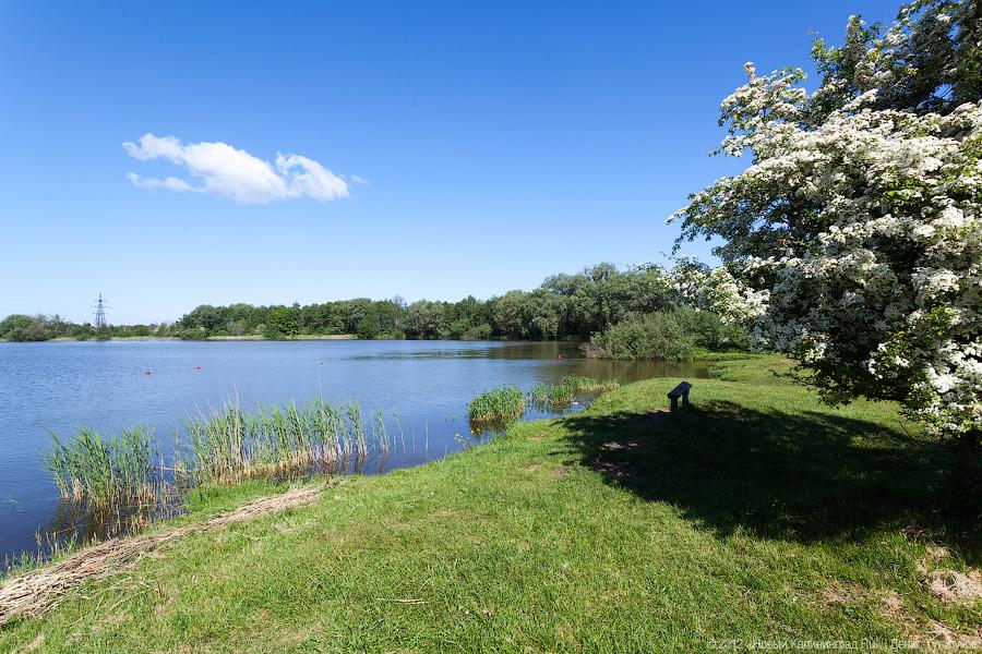 Карповое озеро или Карпуха