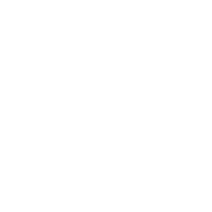 website icon