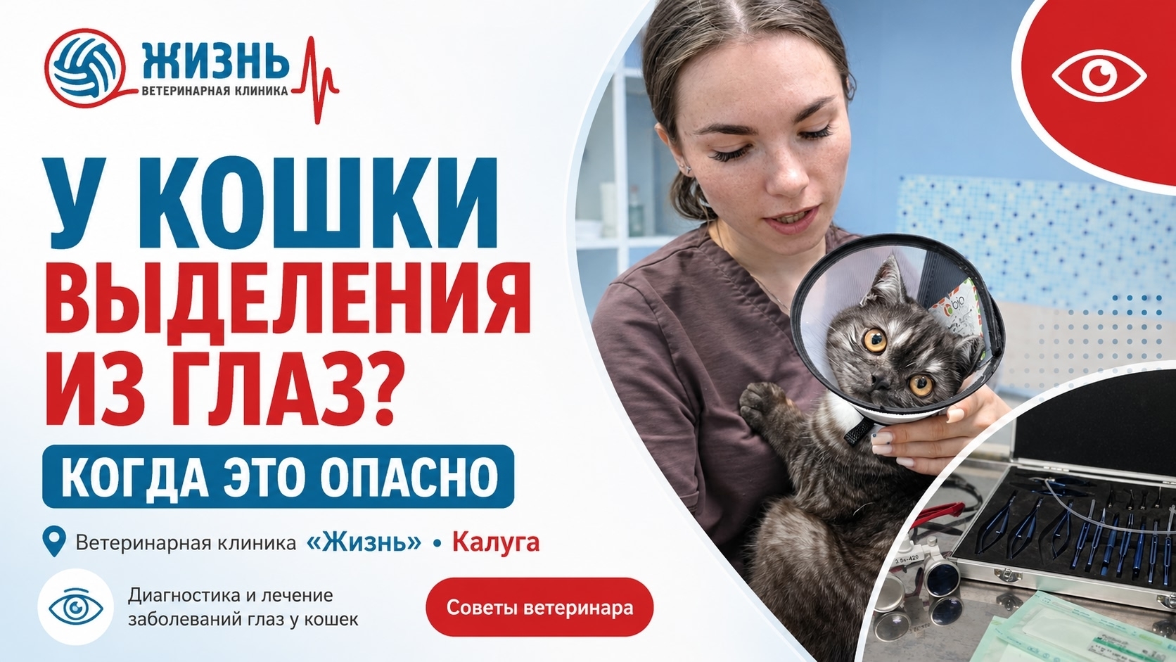 Ветеринарный офтальмолог в Калуге.
