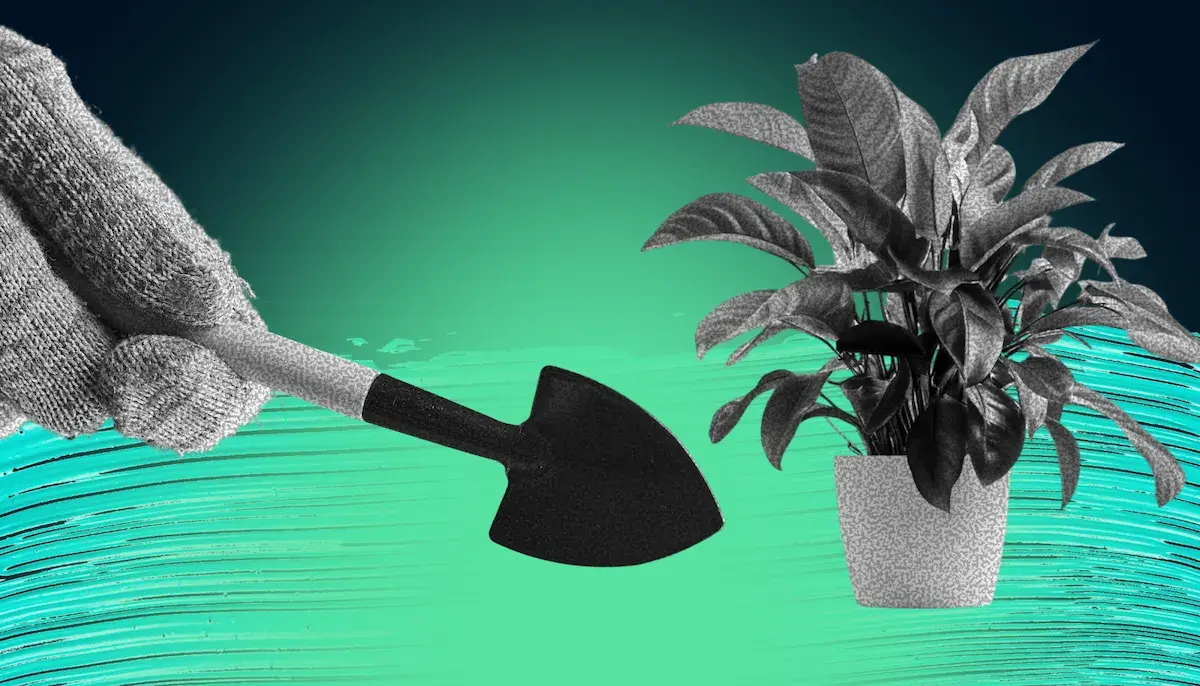 Принятие управленческих решений: пошаговый алгоритм и способы развития навыка