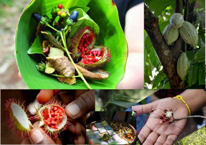 спайс тур на Занзибаре