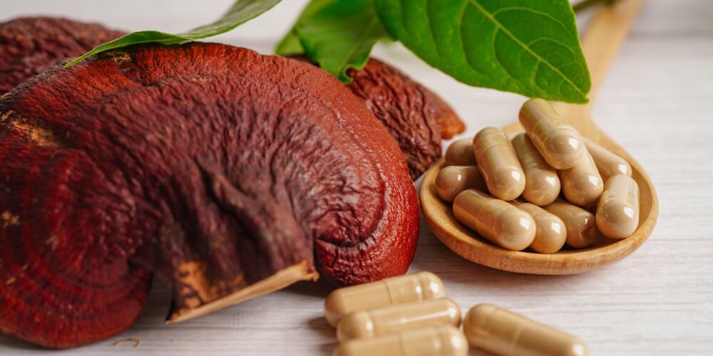 кордицепс купить, рейши экстракт, лучшие БАДы с грибами, биохакинг с кордицепсом, суперфуды для иммунитета