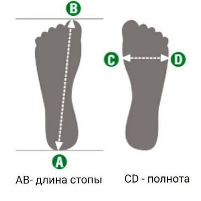 Длина правой длина правой. Мужская и женская стопа отличия. Отличие метра от стопы. Измерить колготки для мальчика от попы до пяточки. Чем отличается кисть от стопы.