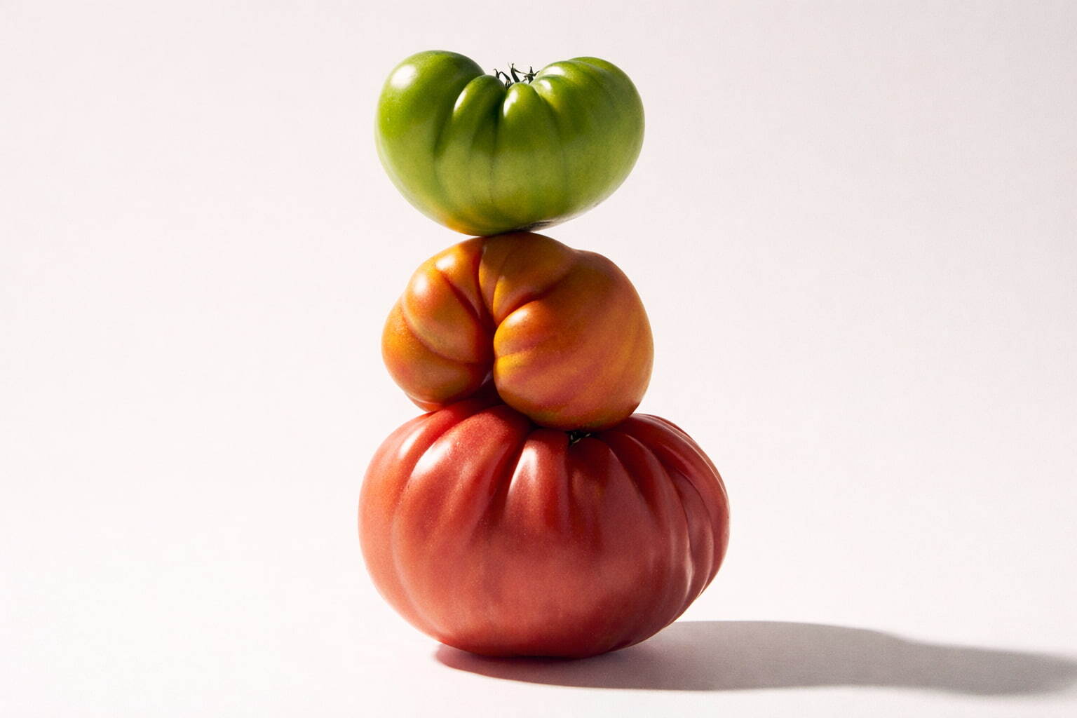 Свежие спелые помидоры крупным планом — сочные и ароматные томаты