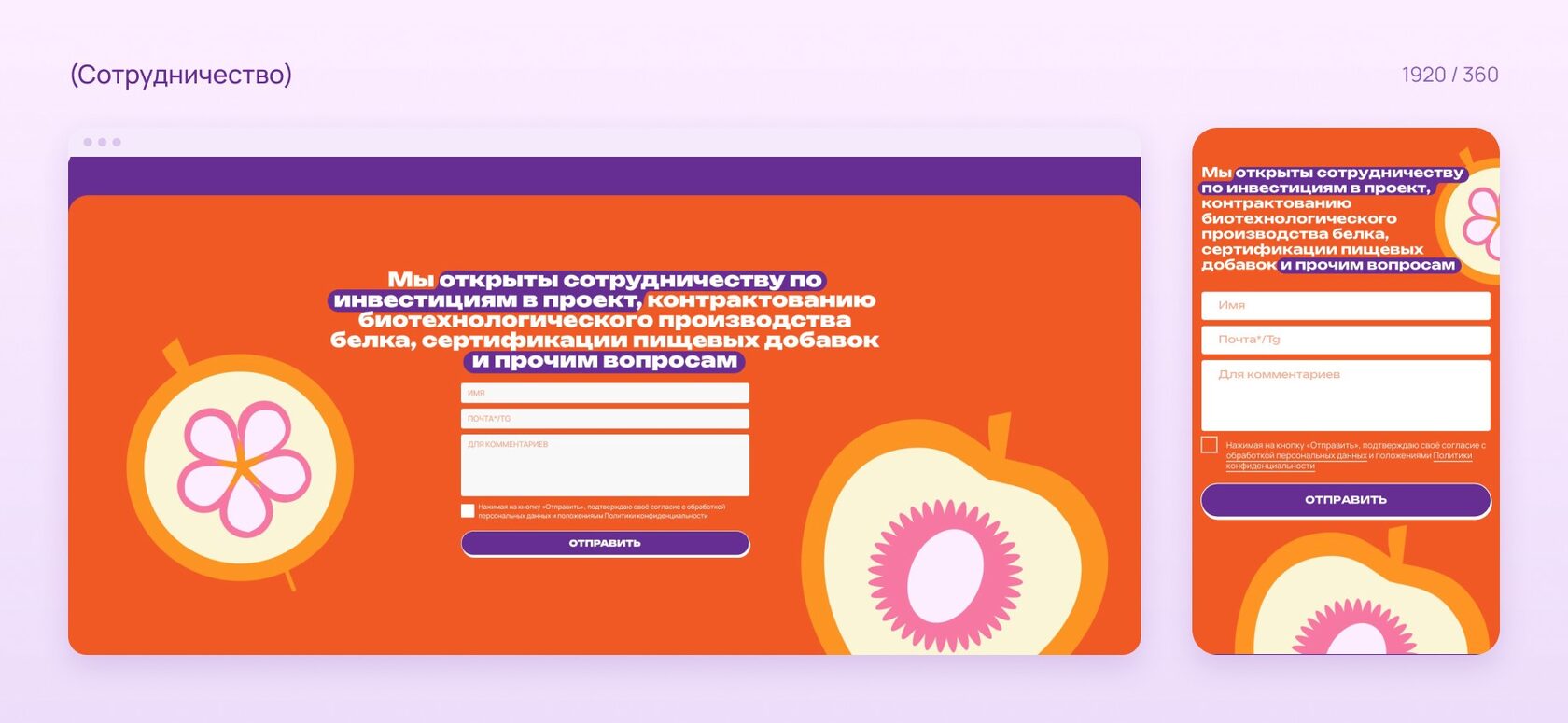 Дизайн сайта «Сладкие белки» на компьютере и телефоне: темы сотрудничества — инвестиции, контрактное производство, сертификация — и форма с полем для почты или Telegram