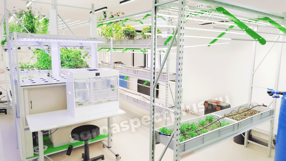 Кванториум.Ирбит, Агроквантум