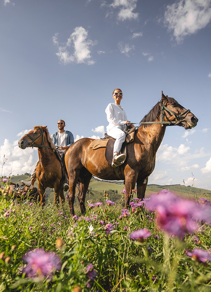 Центр приключений Altai Palace