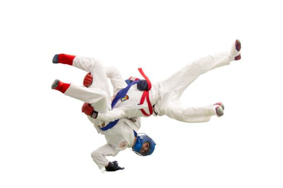 Армейский рукопашный бой