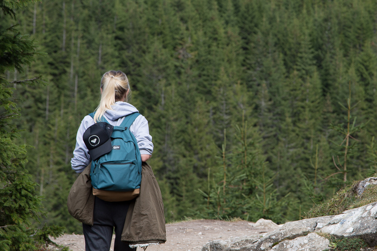 природа карелии