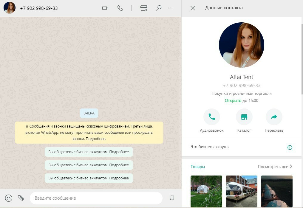 Чат с бизнес-страницей компании в WhatsApp