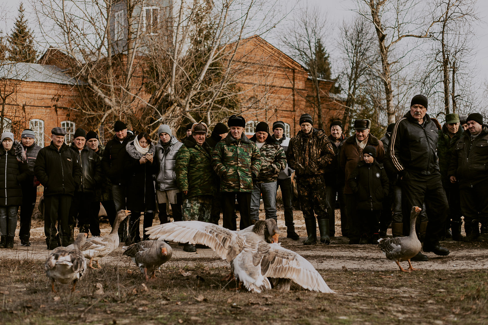 Рп 5 алексеевское. Алексеевка Курская область Глушковский район. Гусиные бои. Тёткино Курская область.