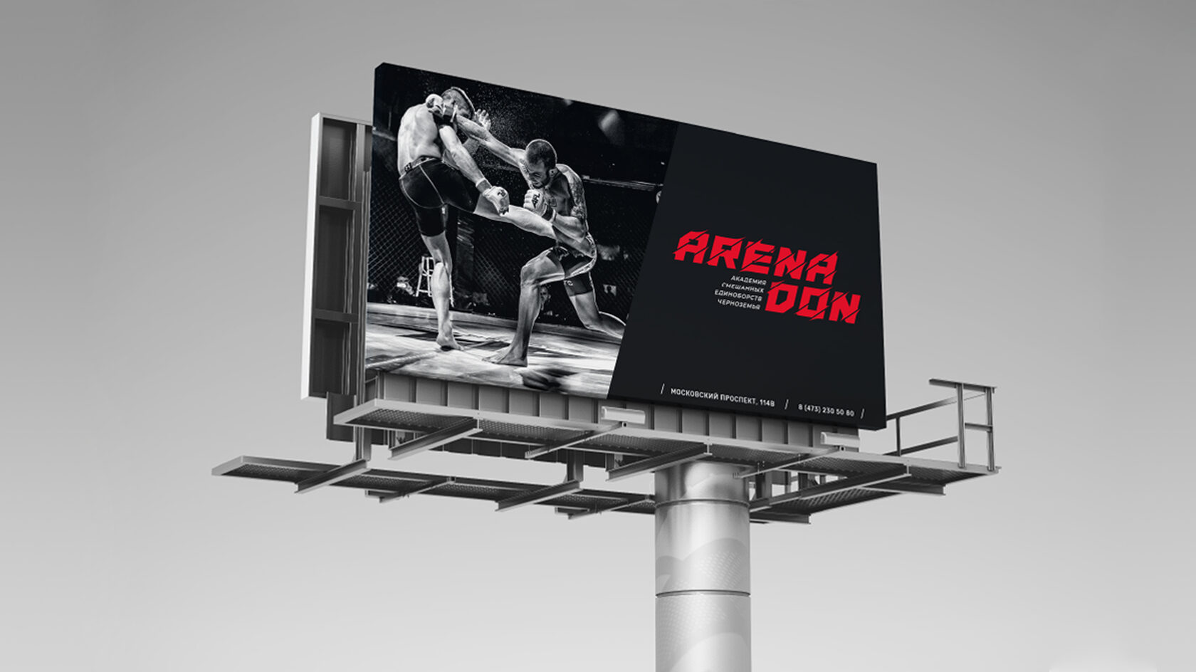 Arena Don – оригинальный материал проекта