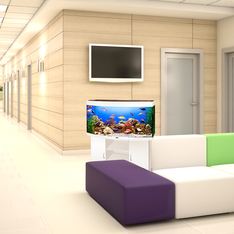 Аквариум в офис - Stellex Aqua