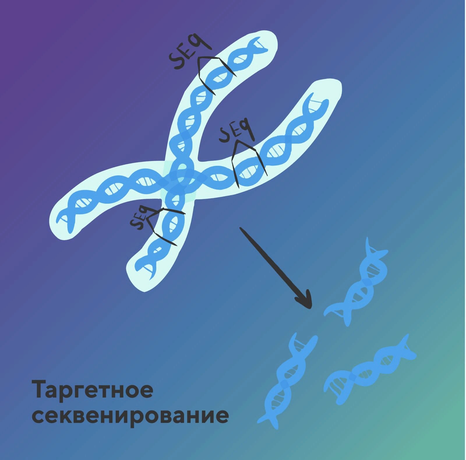 Как и зачем разрабатывают таргетные панели - блог компании Sesana