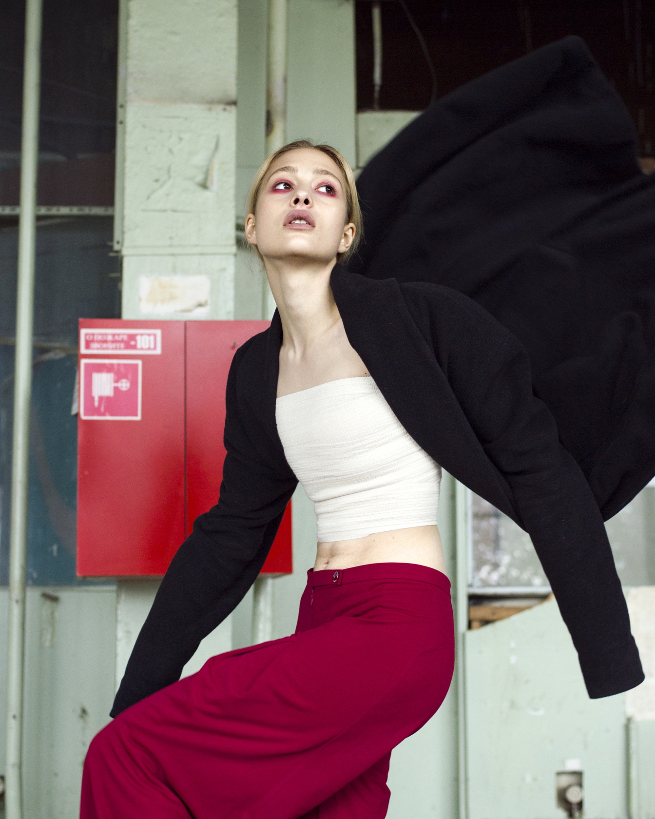 о Вирджинии