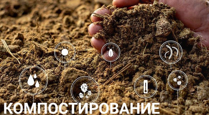 Компостирование это 