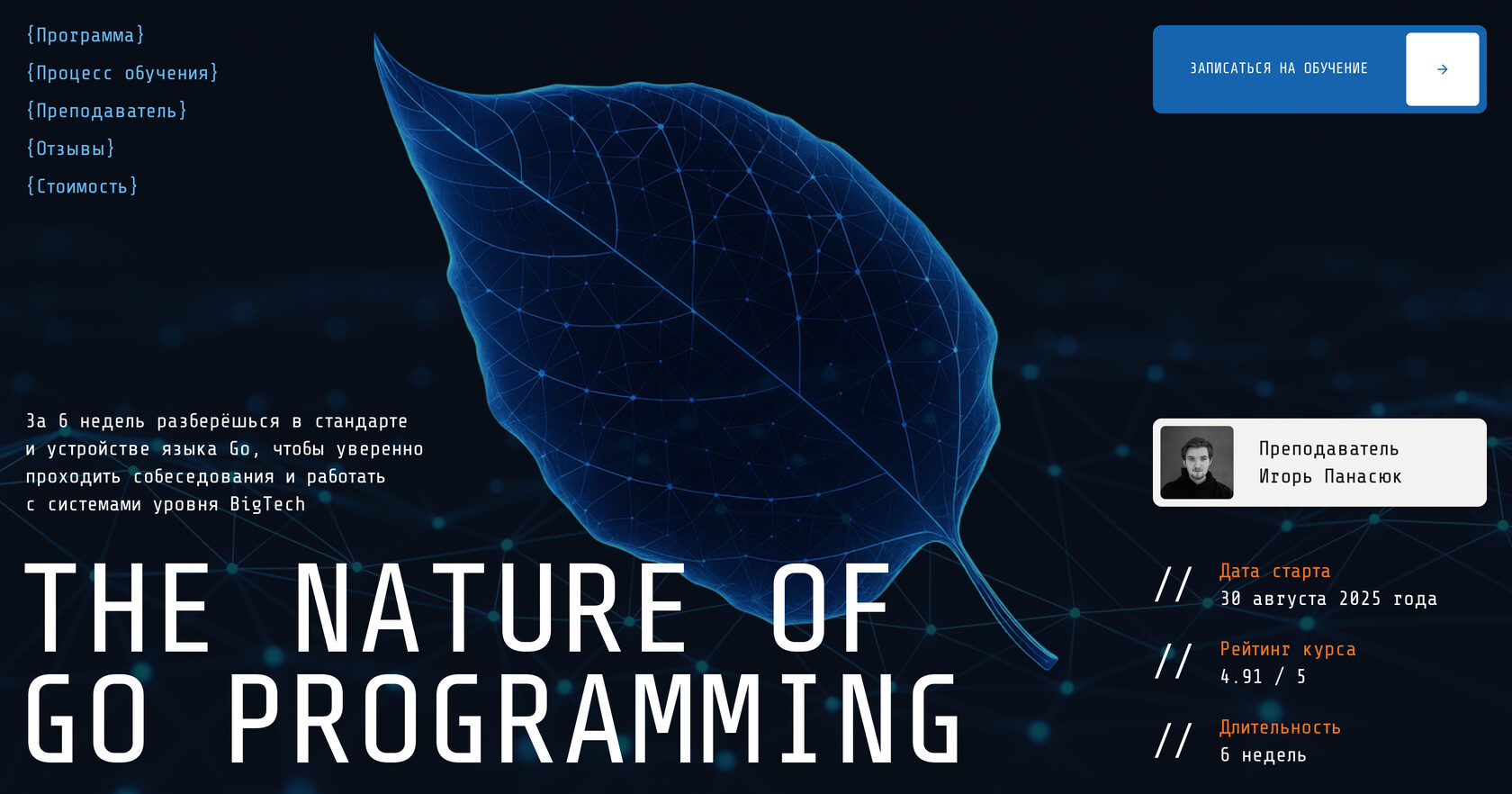 igoroutine.courses