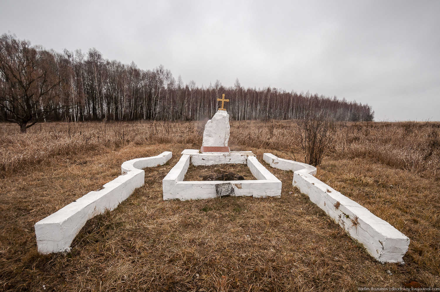 Усадебные волонтеры - Старое Глазово, могила архитектора В.И. Баженова