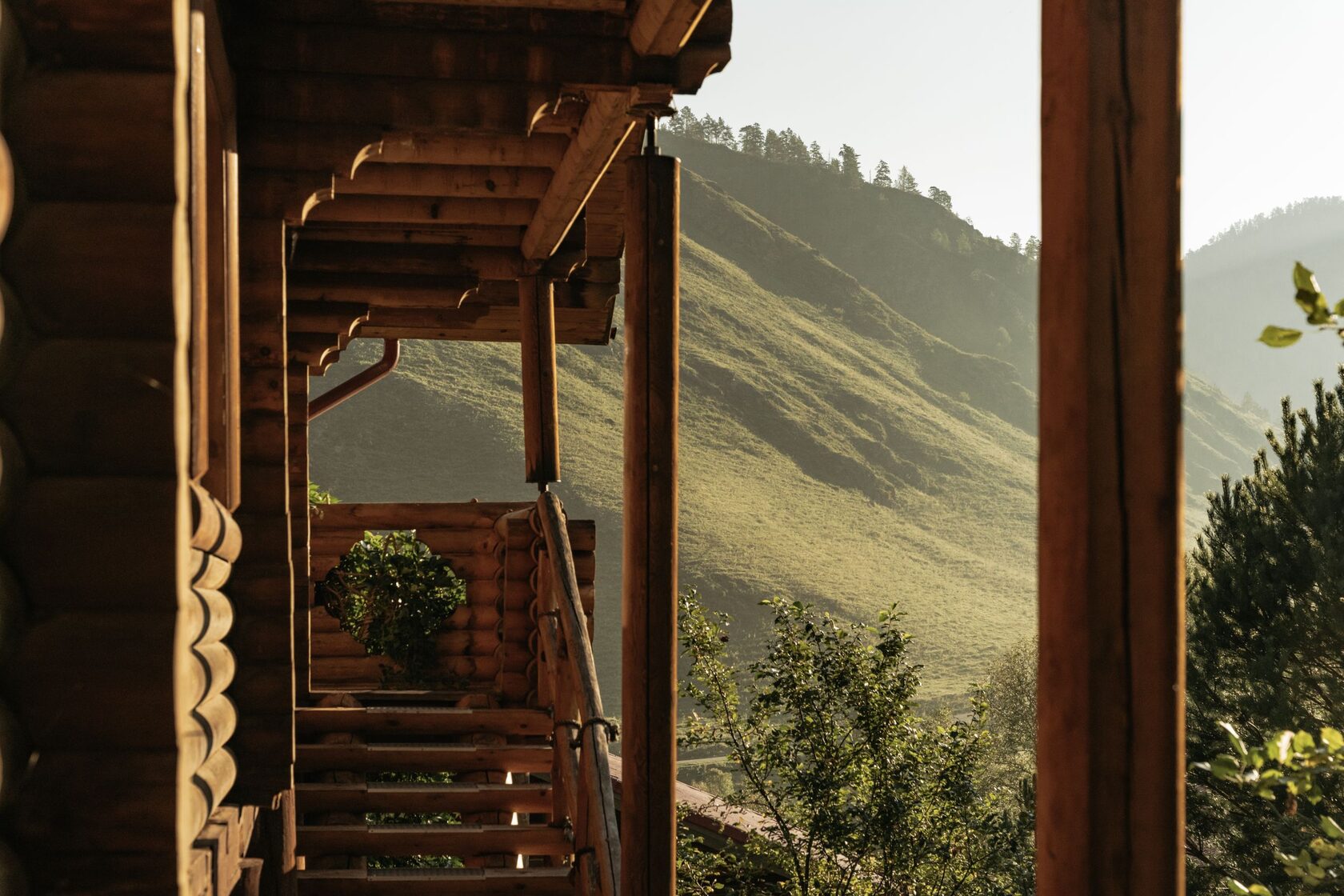 Log chalet with stone staircase in forest