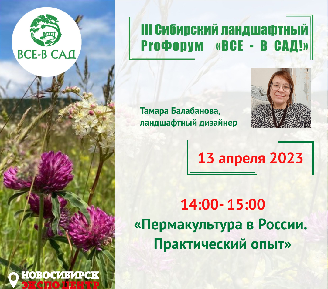 Семена томата сердце красного дракона сибирский сад. Семена сибирский сад интернет магазин. Сибирский сад форум. Томат сердце красного дракона сибирский сад. Сибирский сад.