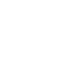 Портретная экспертиза