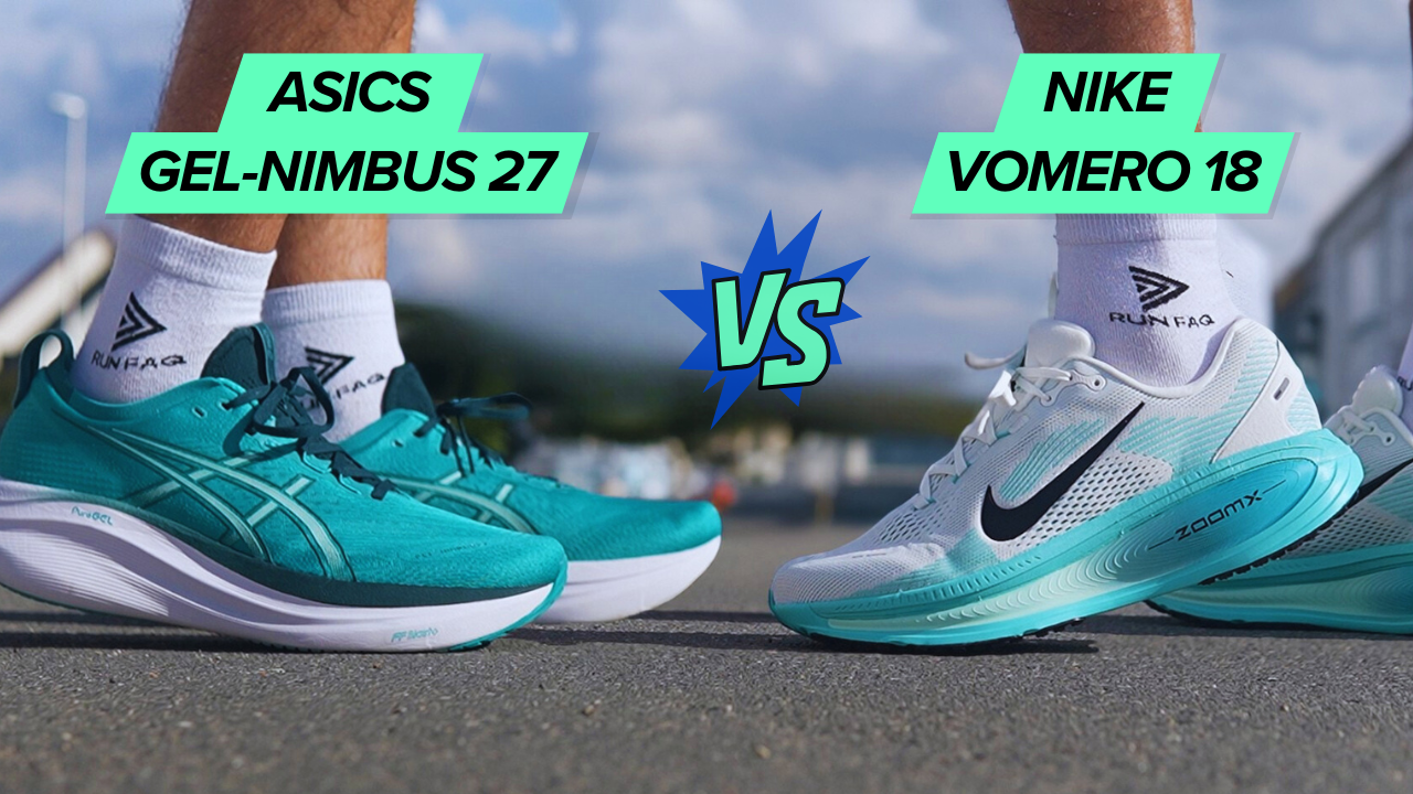 pegasus 38 vs zoom fly 3