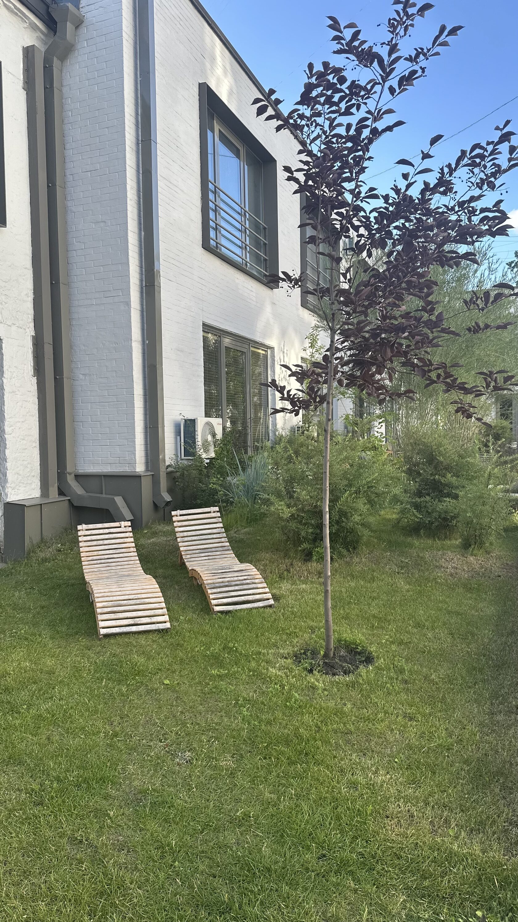 Внутренний двор кластера бизнес-класса (лежаки и насаждения), где расположена студия ПАУЗА. Зона отдыха в Москве.