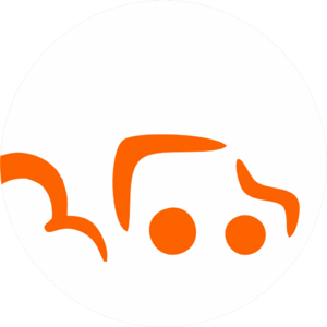 website icon