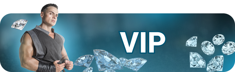 Тариф VIP