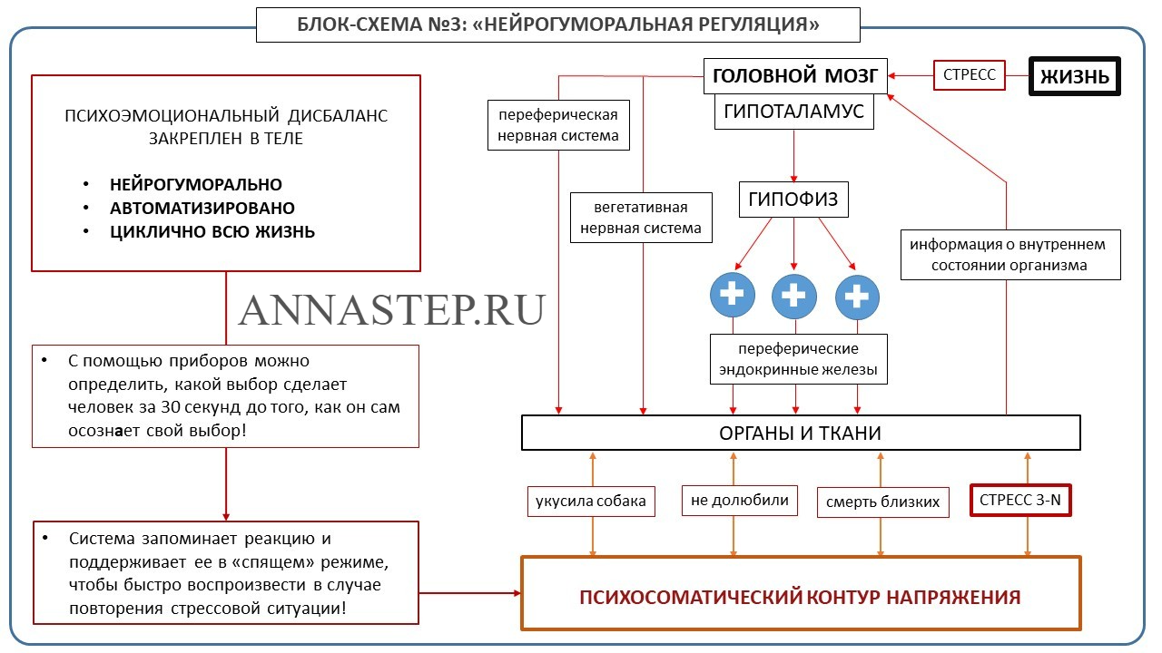 Как избавиться от страхов и тревог навсегда | Авторская статья Анны Степанян