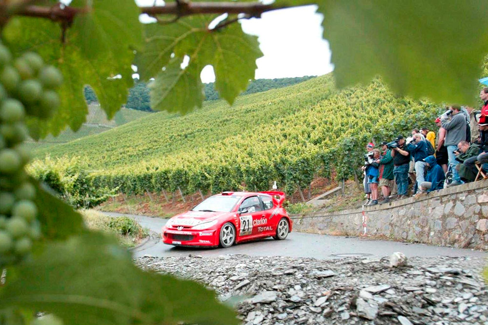 Седрик Робер и Жеральд Бедон, Peugeot 206 WRC (290 NNN 75), ралли Германия 2003