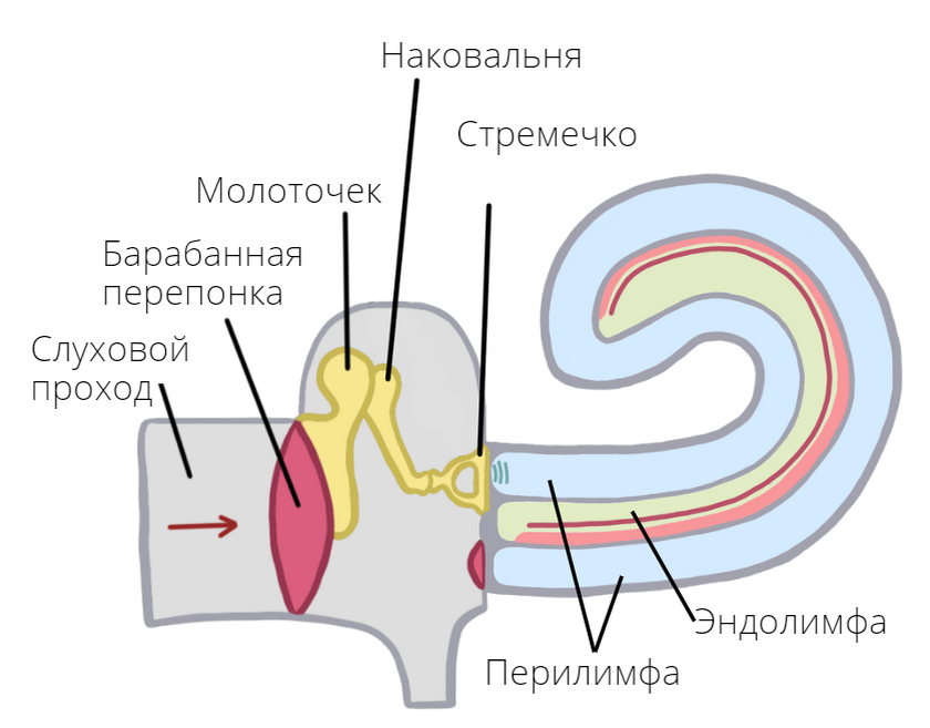 -13
